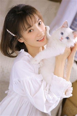 四大天王之伴游套餐